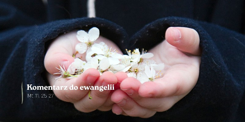 Komentarz do Ewangelii - 15 lipca 2026