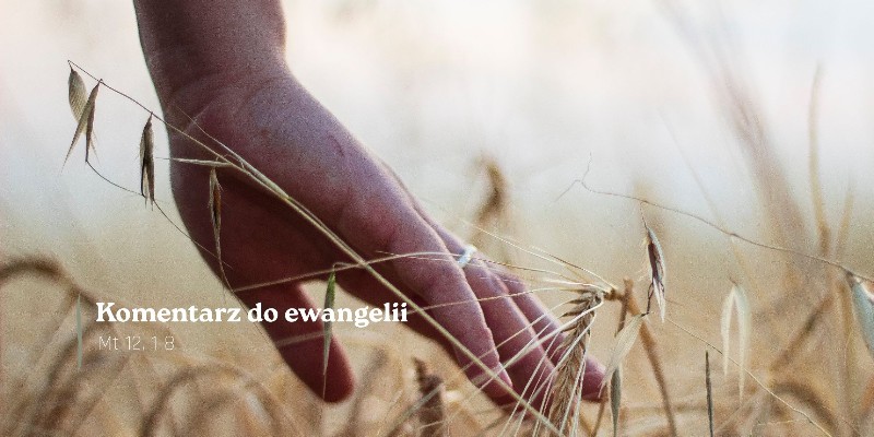 Komentarz do Ewangelii - 17 lipca 2026