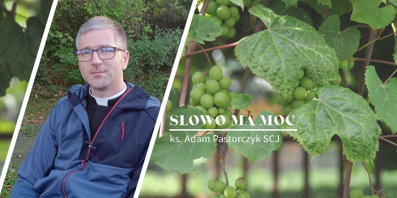 Słowo Ma Moc - rozważanie Ewangelii, XXVI niedziela zwykła
