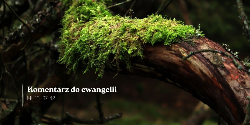 Komentarz do Ewangelii - 28 czerwca 2026