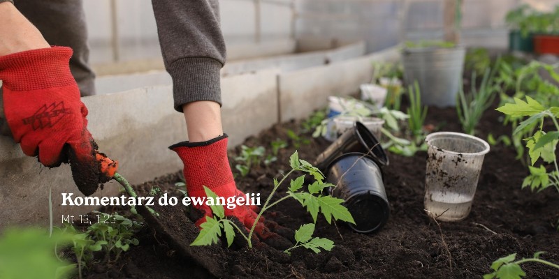 Komentarz do Ewangelii - 12 lipca 2026