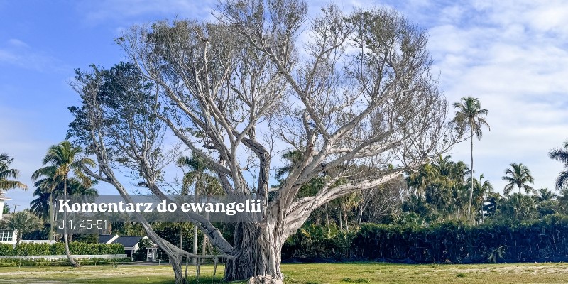 Komentarz do Ewangelii - 24 sierpnia 2026