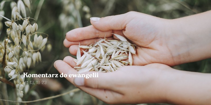 Komentarz do Ewangelii - 24 lipca 2026