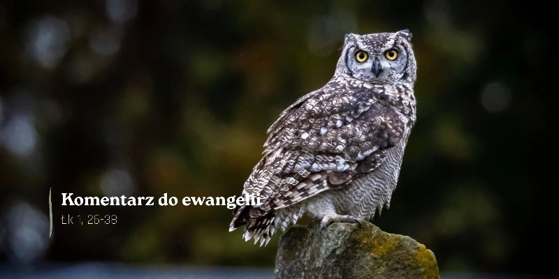 Komentarz do Ewangelii - 22 sierpnia 2026