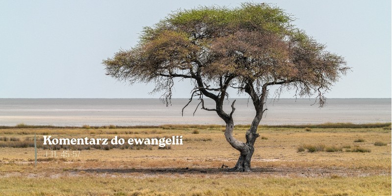 Komentarz do Ewangelii - 28 marca 2026