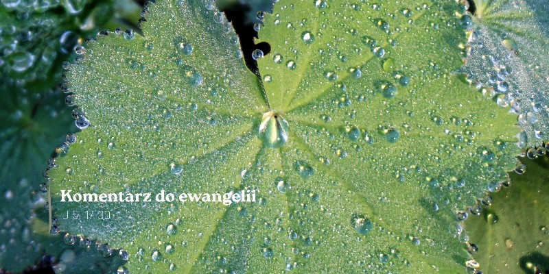 Komentarz do Ewangelii - 18 marca 2026