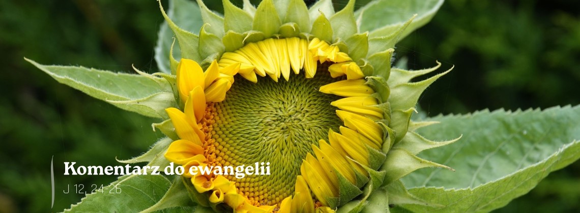 Komentarz do Ewangelii - 10 sierpnia 2028