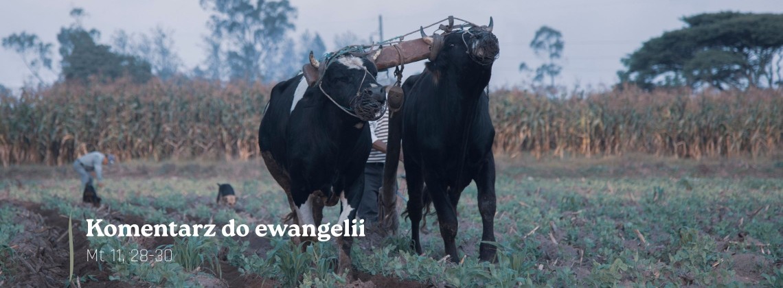 Komentarz do Ewangelii - 16 lipca 2026