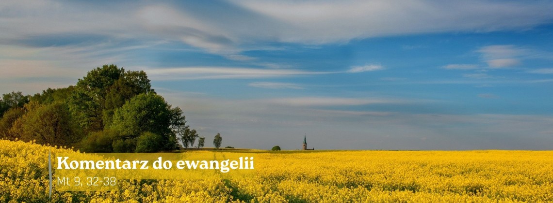 Komentarz do Ewangelii - 7 lipca 2026