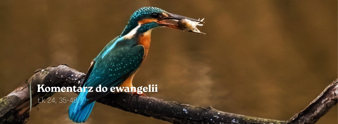 Komentarz do Ewangelii - 9 kwietnia 2026