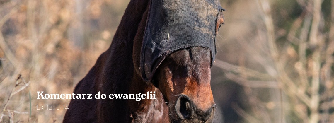 Komentarz do Ewangelii - 14 marca 2026