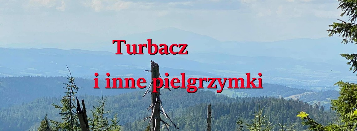 Turbacz 2020