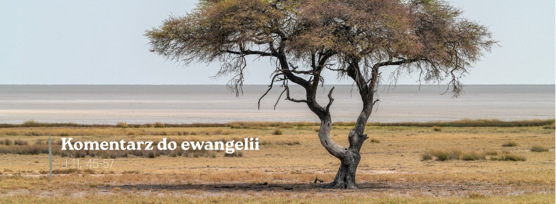 Komentarz do Ewangelii - 28 marca 2026