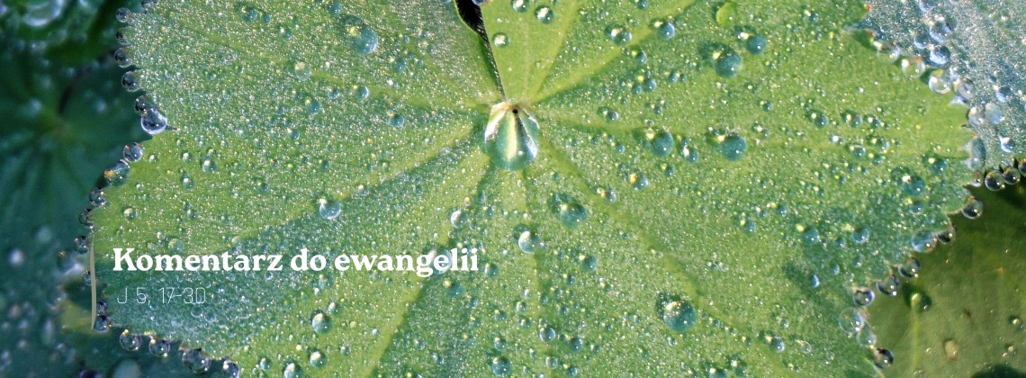 Komentarz do Ewangelii - 18 marca 2026